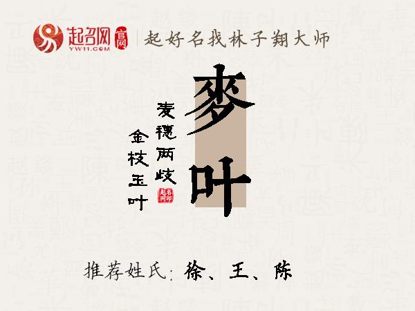 麦叶名字寓意