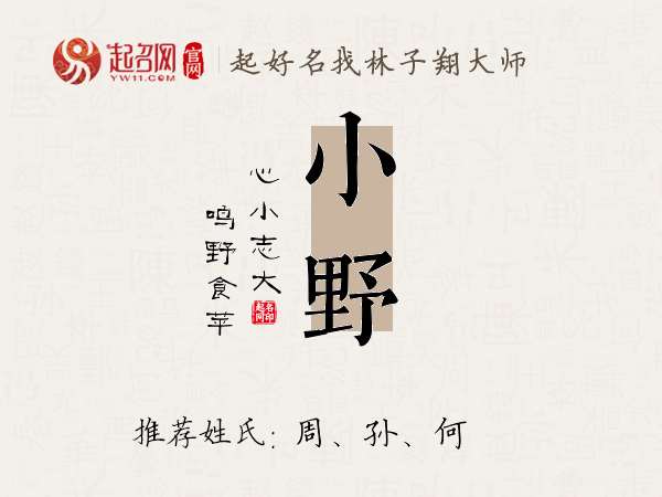 小野名字寓意