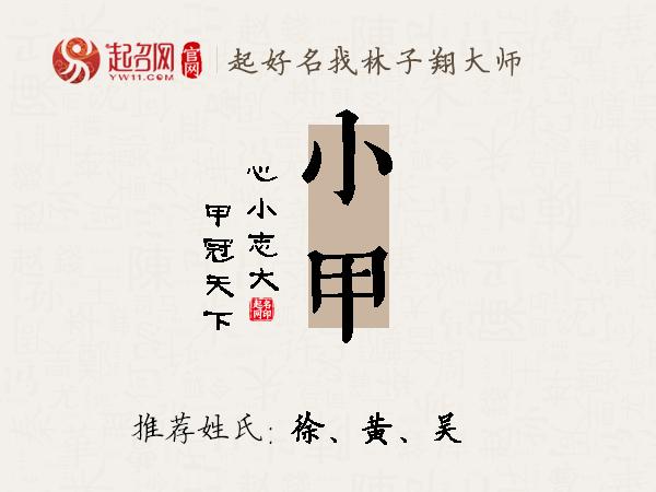 小甲名字寓意