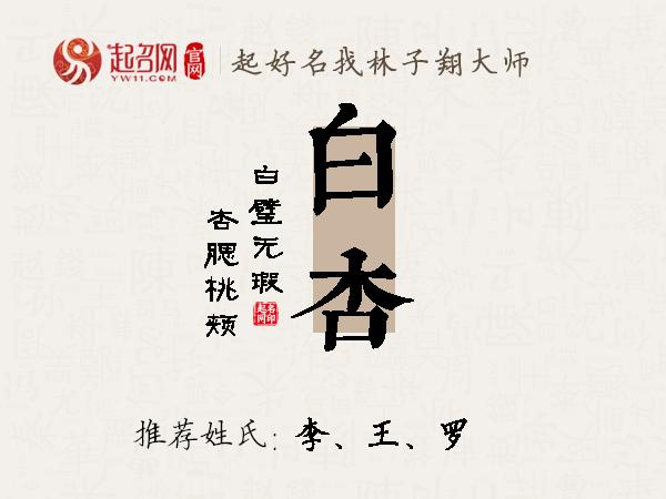 白杏名字寓意