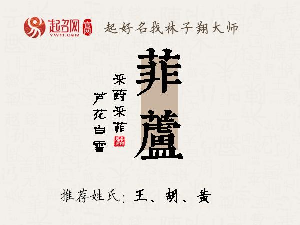 菲芦名字寓意