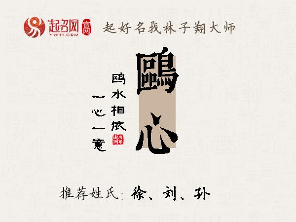 鸥心名字寓意