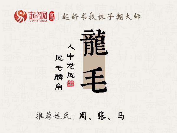 龙毛名字寓意